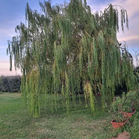 Διαμέρισμα 2